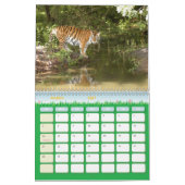 Tiger_Aroara012, Tiger Auroara Kalender (Mar 2027)