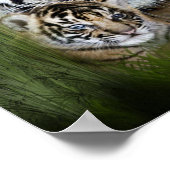 Tiger art poster (Hoek)