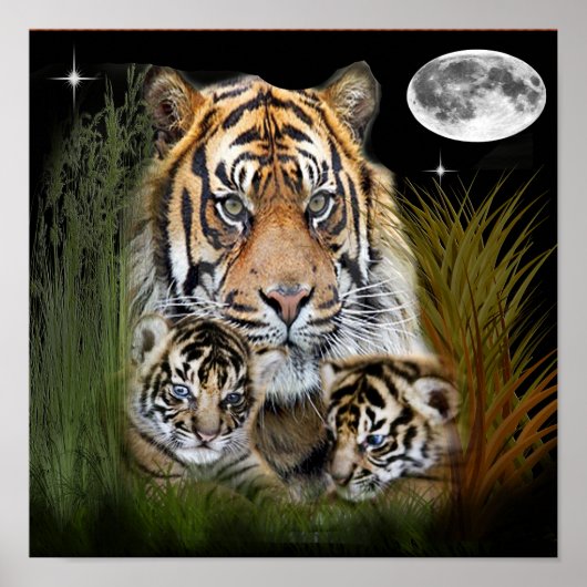 Tiger art poster (Voorkant)