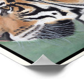 TIGER Art Print Geschikt voor Framing Miranda (Hoek)