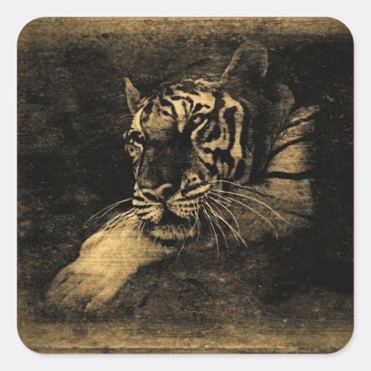 Tiger  Art Sticker (Voorkant)