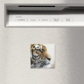 Tiger. Asahiyama Zoo, Hokkaido, Japan Magneet (Insitu (Vaatwasser))