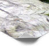 Tiger Aslapen Poster (Hoek)