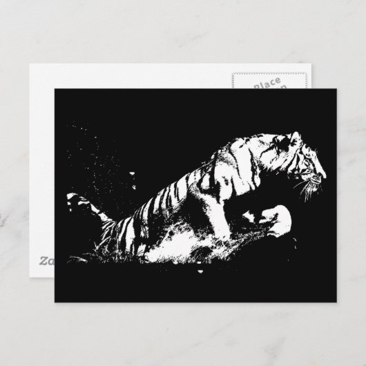 Tiger Attacking Briefkaart (Voorkant / Achterkant)