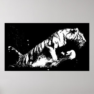Tiger Attacking Poster Print - Tiger Black & White