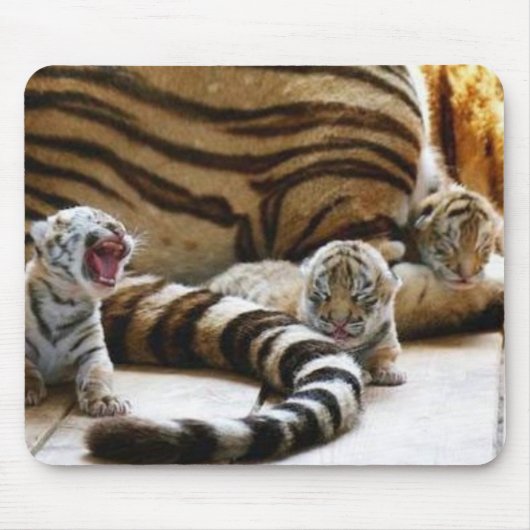 Tiger Babies Mousepad Muismat (Voorkant)