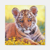 Tiger Baby Cub Magneet (Voorkant)