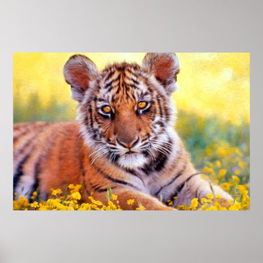 Tiger Baby Cub Poster (Voorkant)