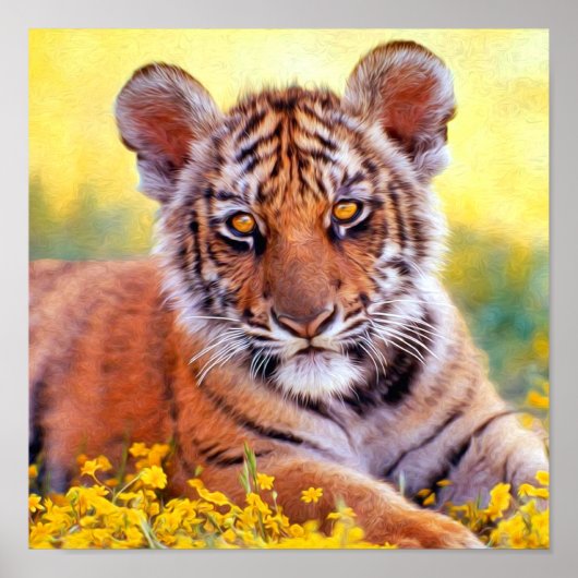Tiger Baby Cub Poster (Voorkant)