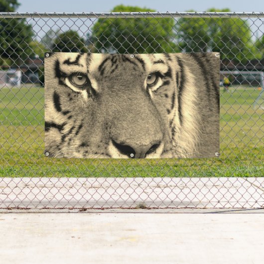 TIGER Banner MET GROMMET (Insitu)
