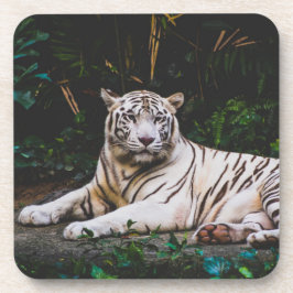 Tiger Beverage Coaster Bier Onderzetter