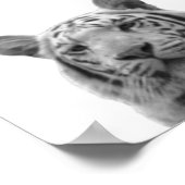 Tiger Black White Cabin Nursery Photo Poster (Hoek)