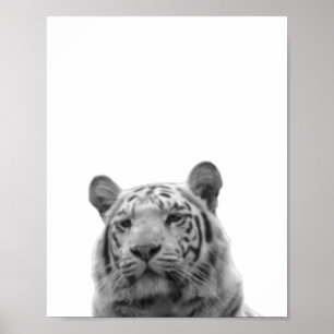 Tiger Black White Cabin Nursery Photo Poster
