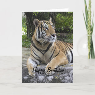 Tiger Blank Verjaardag Kaart