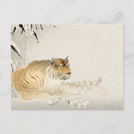 Tiger Briefkaart - Bold en Majestic Wildlife (Voorkant)