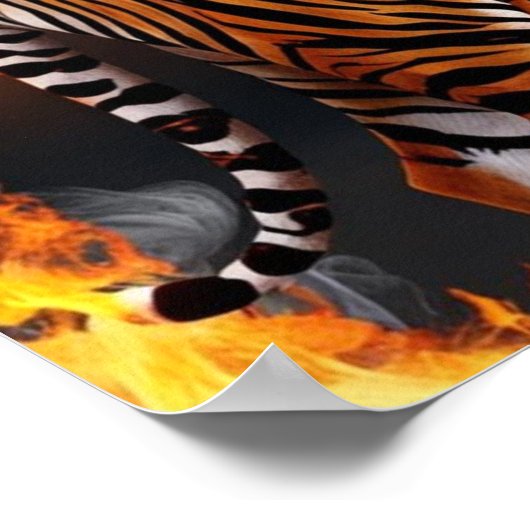 Tiger Burning Poster (Hoek)