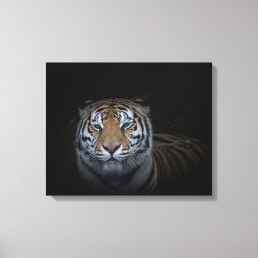Tiger Canvas (Voorkant)