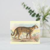 Tiger-Cat Briefkaart (Staand voorkant)