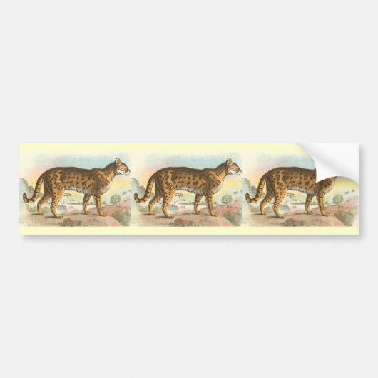 Tiger-Cat Bumpersticker (Voorkant)