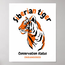 Tiger Cat endangered species awareness