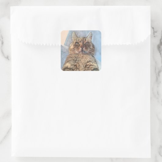 Tiger Cat Illustration Design Vierkante Sticker (Tas)