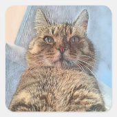 Tiger Cat Illustration Design Vierkante Sticker (Voorkant)