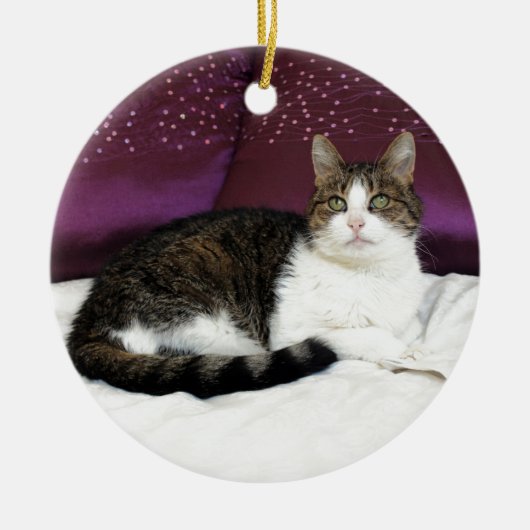 Tiger Cat Keramisch Ornament (Voorkant)