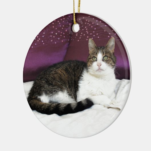 Tiger Cat Keramisch Ornament (Links)