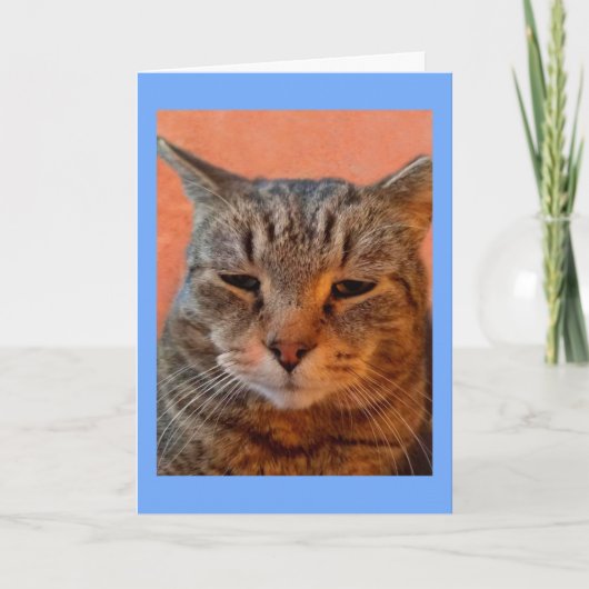 Tiger Cat Miss U Kaart (Voorkant)