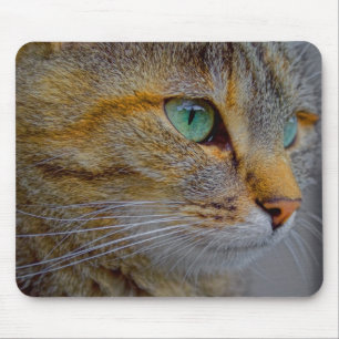 Tiger Cat Portrait Muismat