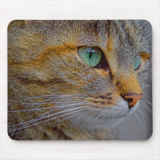 Tiger Cat Portrait Muismat (Voorkant)