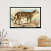 Tiger-Cat Poster (Keuken)
