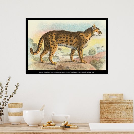 Tiger-Cat Poster (Keuken)