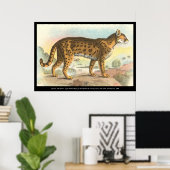Tiger-Cat Poster (Thuiskantoor)