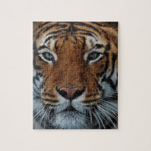 Tiger Cat Stripes Oerwoud Mist Animal Legpuzzel
