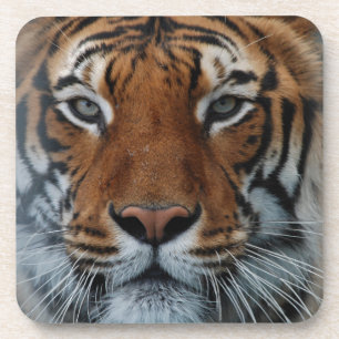 Tiger Cat Stripes Oerwoud Mist Animal Onderzetter
