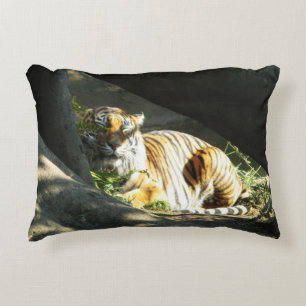 Tiger Catnap Accent Kussen