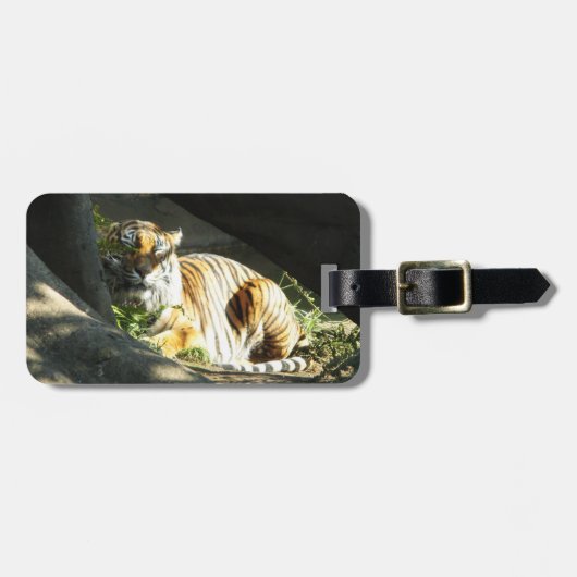 Tiger Catnap Bagagelabel (Voorkant horizontaal)