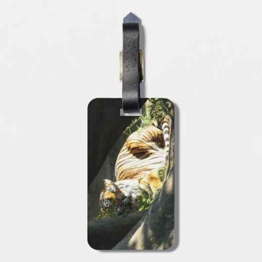 Tiger Catnap Bagagelabel (Achterkant verticaal)