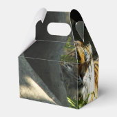 Tiger Catnap Bedankdoosjes (Achterkant)