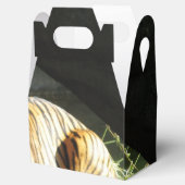 Tiger Catnap Bedankdoosjes (Geopend)