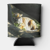 Tiger Catnap Blikjeskoeler (Voorkant)