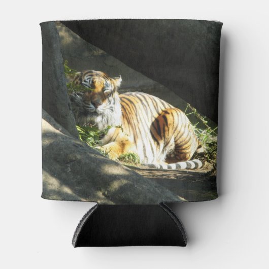 Tiger Catnap Blikjeskoeler (Voorkant)