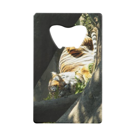 Tiger Catnap Creditkaart Flessenopener (Voorkant)