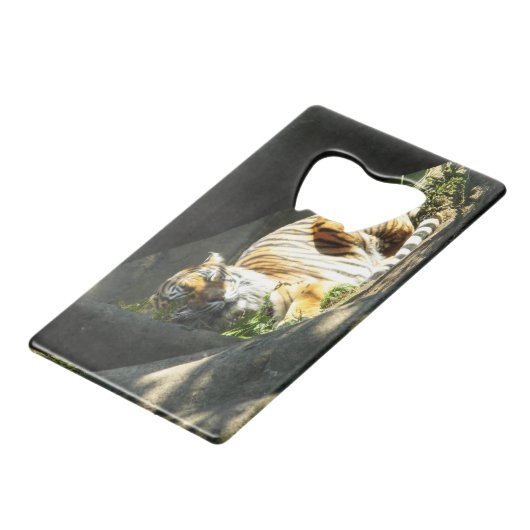 Tiger Catnap Creditkaart Flessenopener (Voorkant Gekanteld)