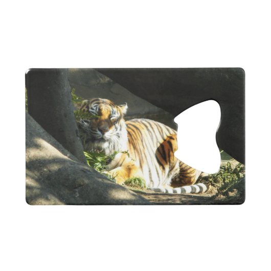 Tiger Catnap Creditkaart Flessenopener (Voorkant (Horizontaal))
