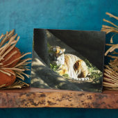 Tiger Catnap Fotoplaat (Zijkant)