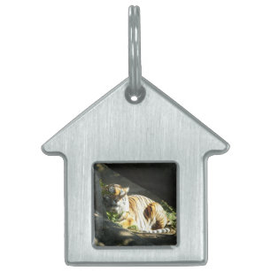 Tiger Catnap Huisdieren Naamplaatje