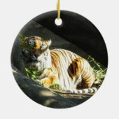 Tiger Catnap Keramisch Ornament (Achterkant)