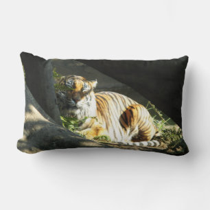 Tiger Catnap Kussen